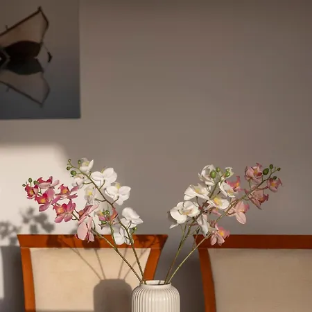 Three Wishes ! * Parasporos