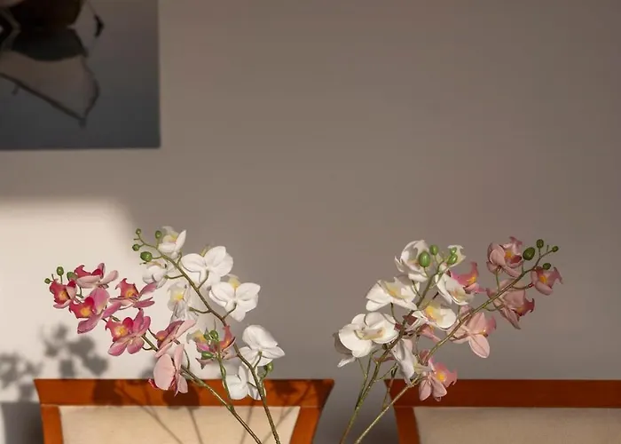 Three Wishes ! * Parasporos